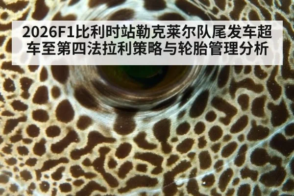 2026F1比利时站勒克莱尔队尾发车超车至第四法拉利策略与轮胎管理分析