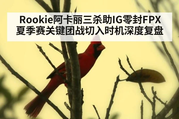 Rookie阿卡丽三杀助IG零封FPX 夏季赛关键团战切入时机深度复盘
